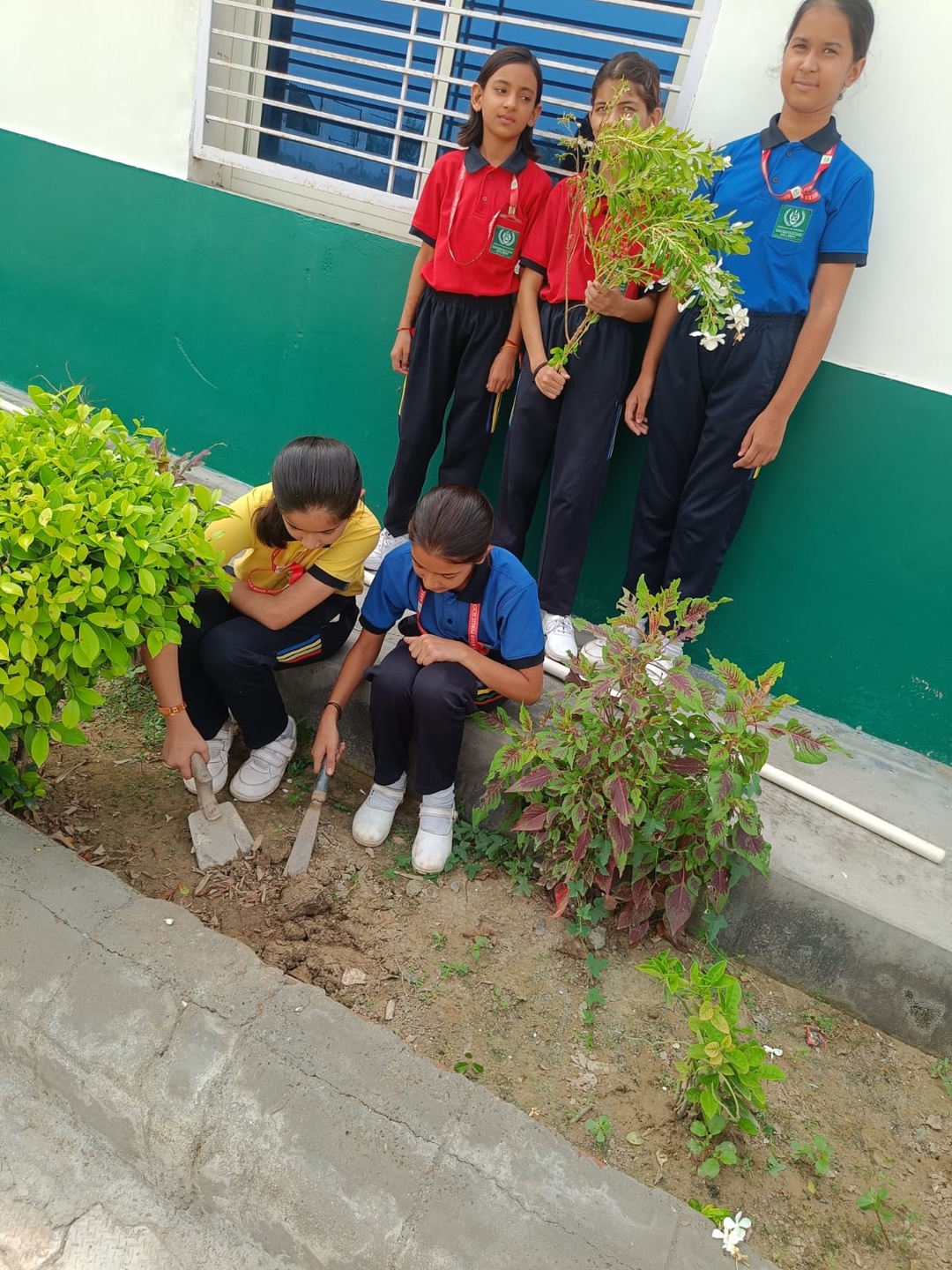 Plantation drive at Greenwood campus