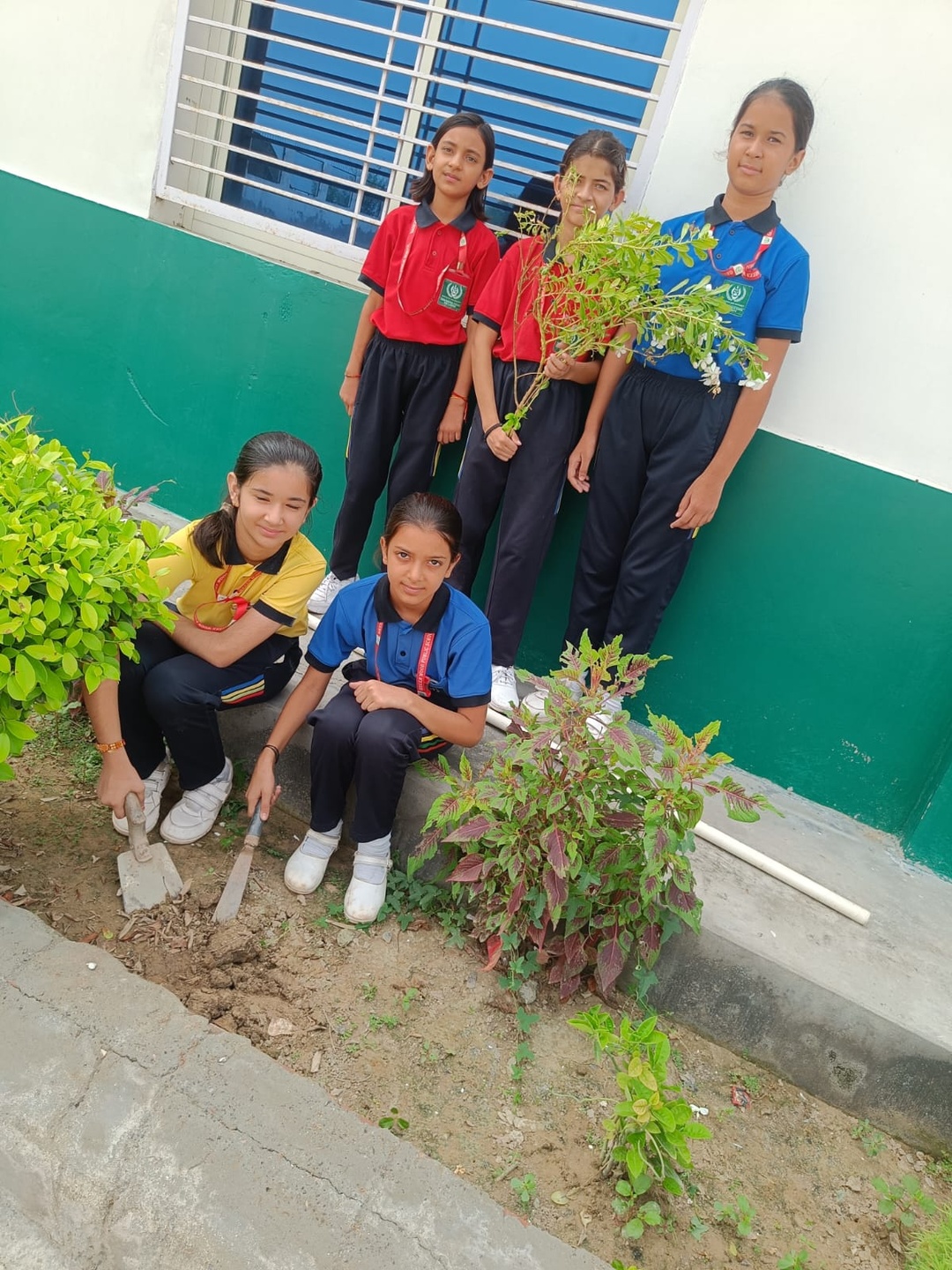 Greenwood students learning environmental stewardship through plantation